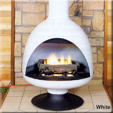 fd3gaswhite.jpg - 18126 Bytes